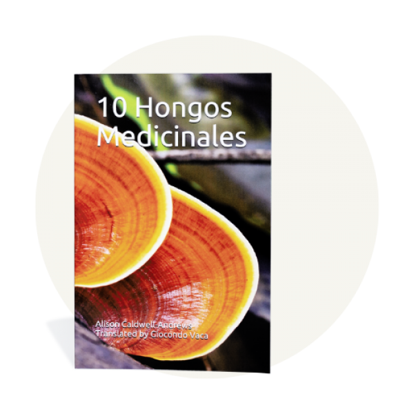 10 Hongos Medicinales