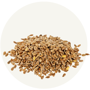 Flax Seed