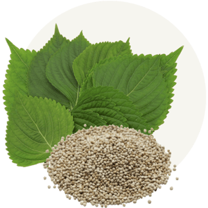 Perilla Seed Oil