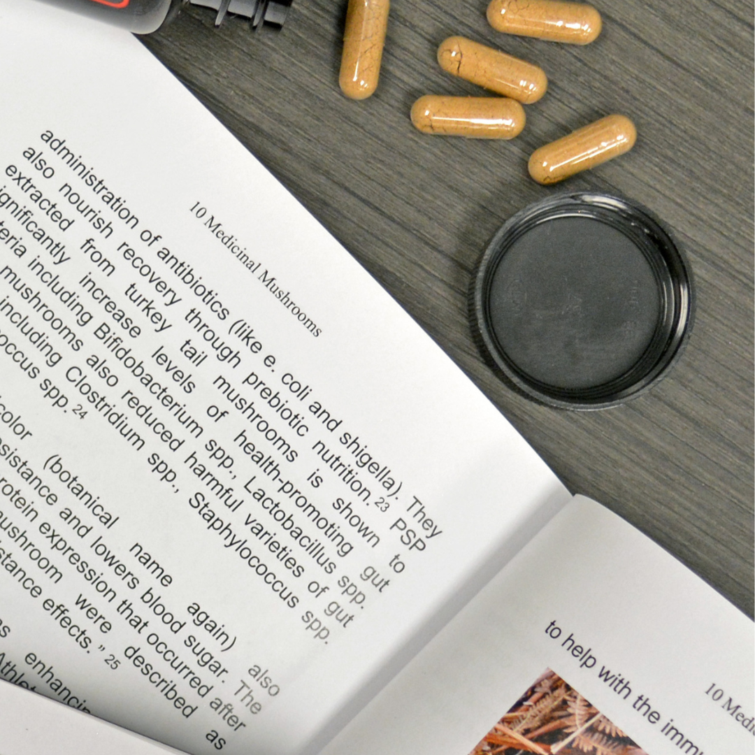10 Medicinal Mushrooms Book image 2