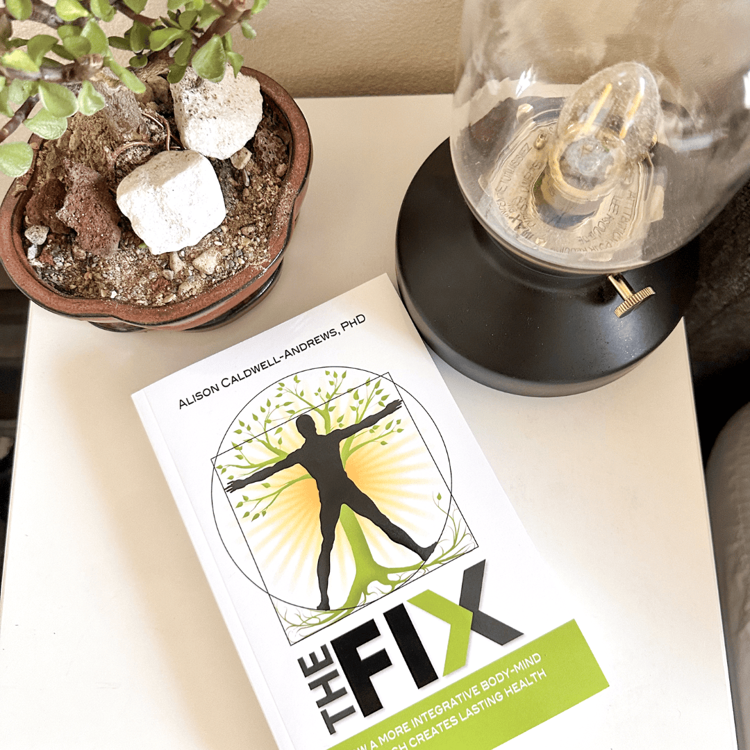 The Fix Book image 2