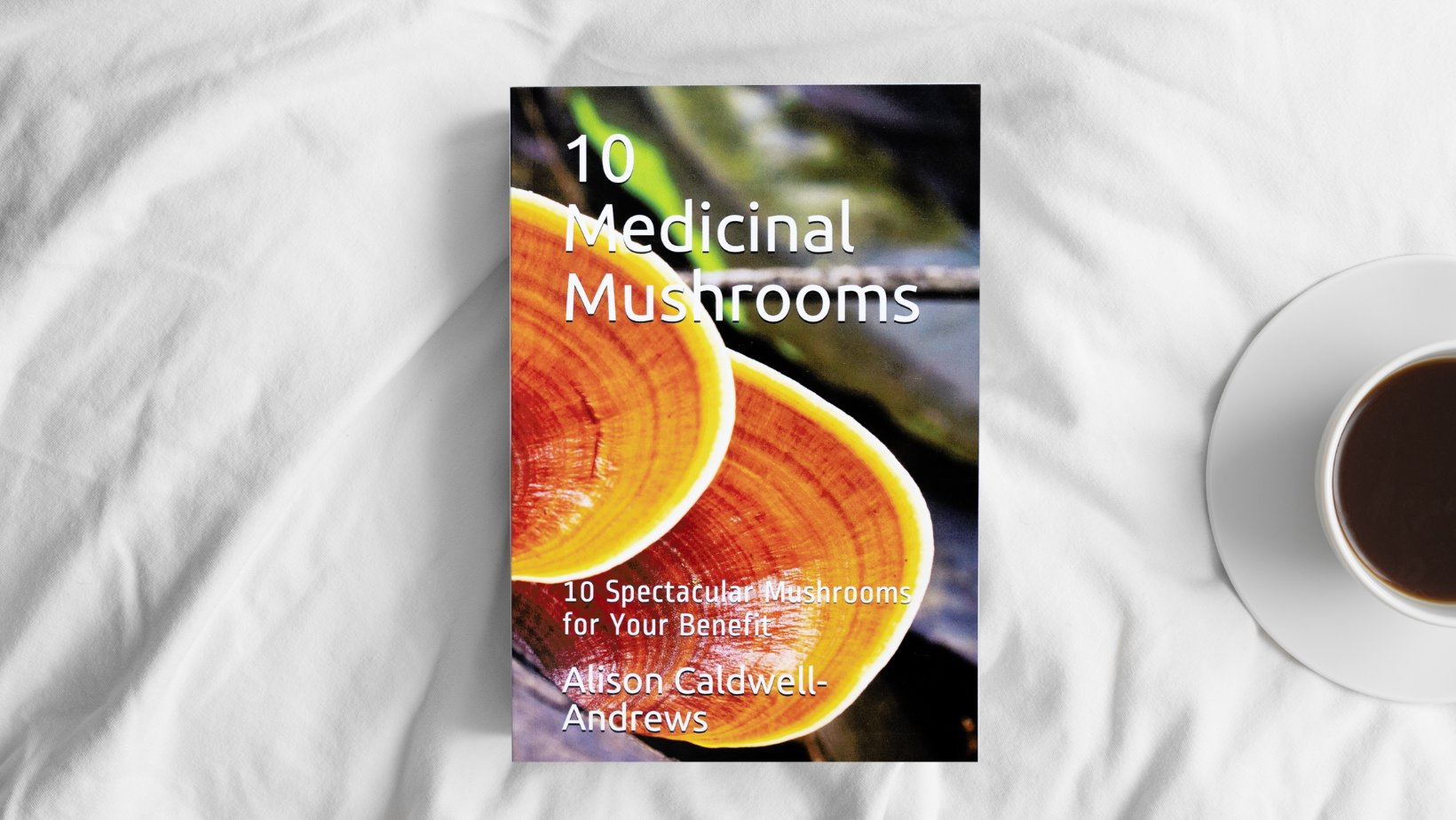 10 Medicinal Mushrooms Book image 4