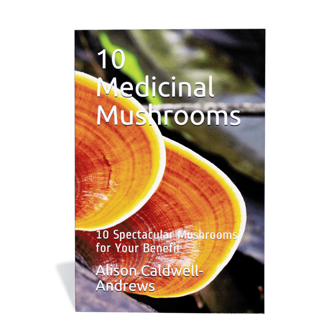 10 Medicinal Mushrooms Book image 1