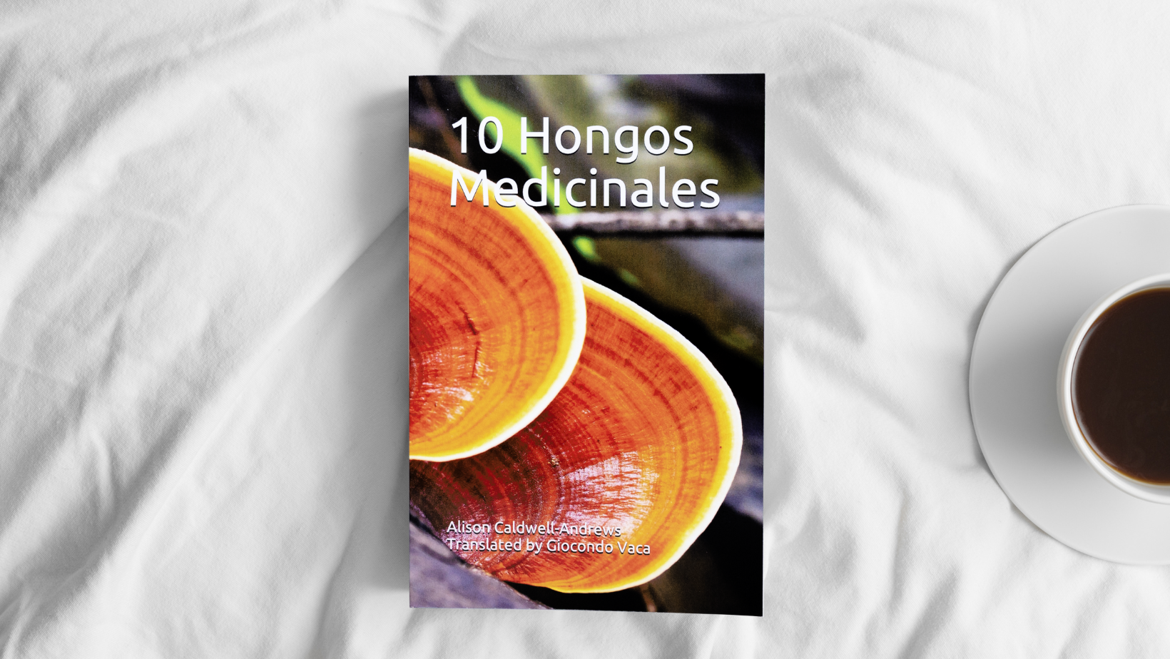 10 Hongos Medicinales image 4