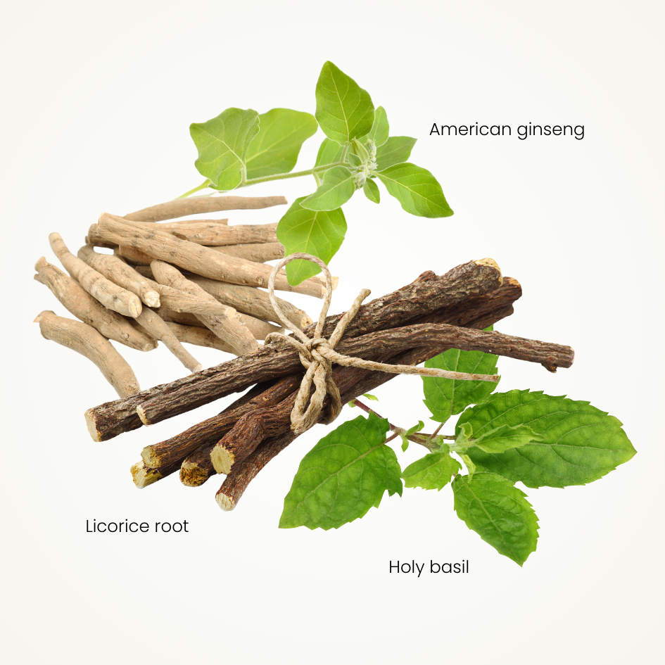 AvantGreens® Accessory Bundle image 2