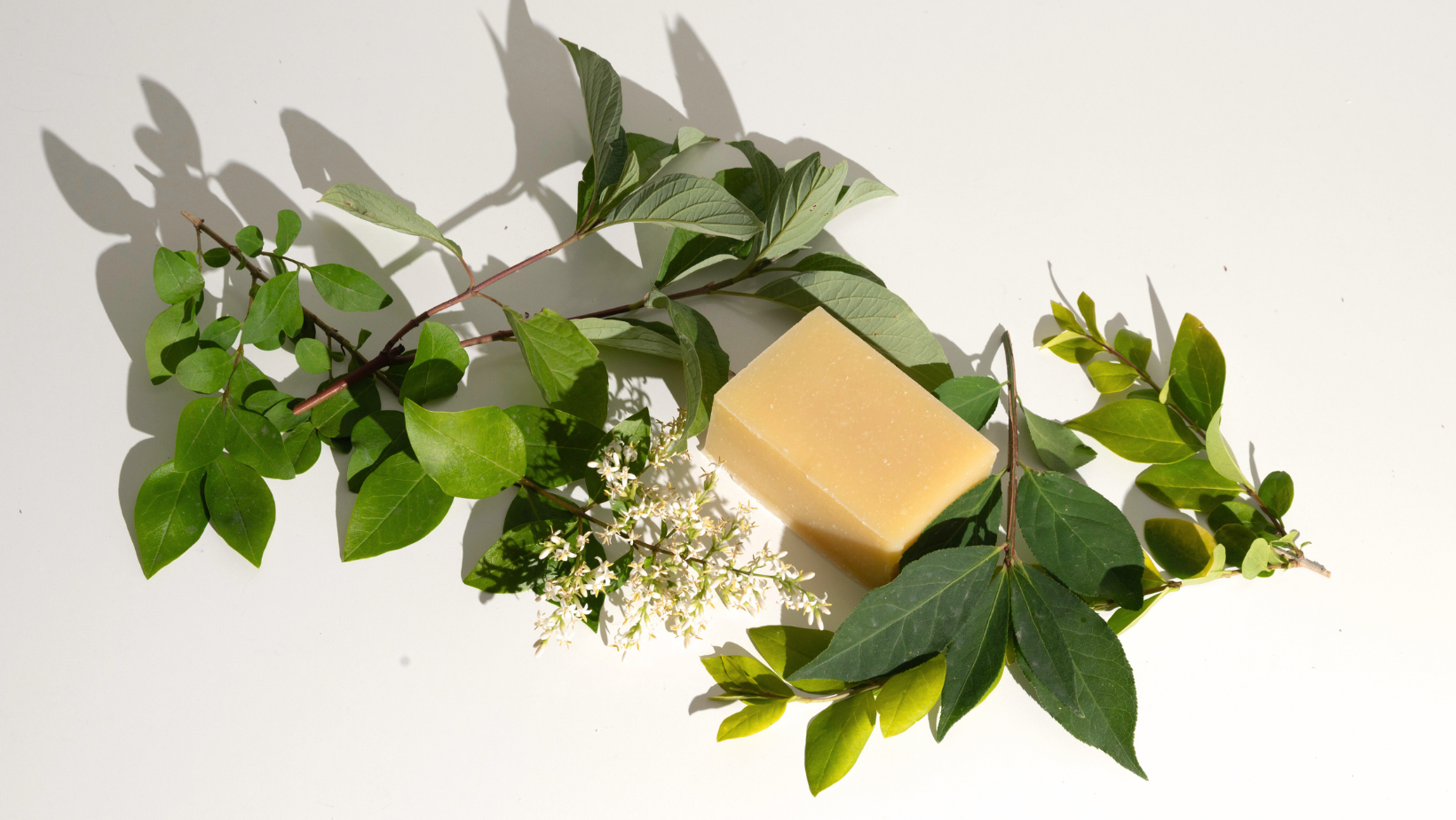 SE Clarify™ Cleansing Bar image 4