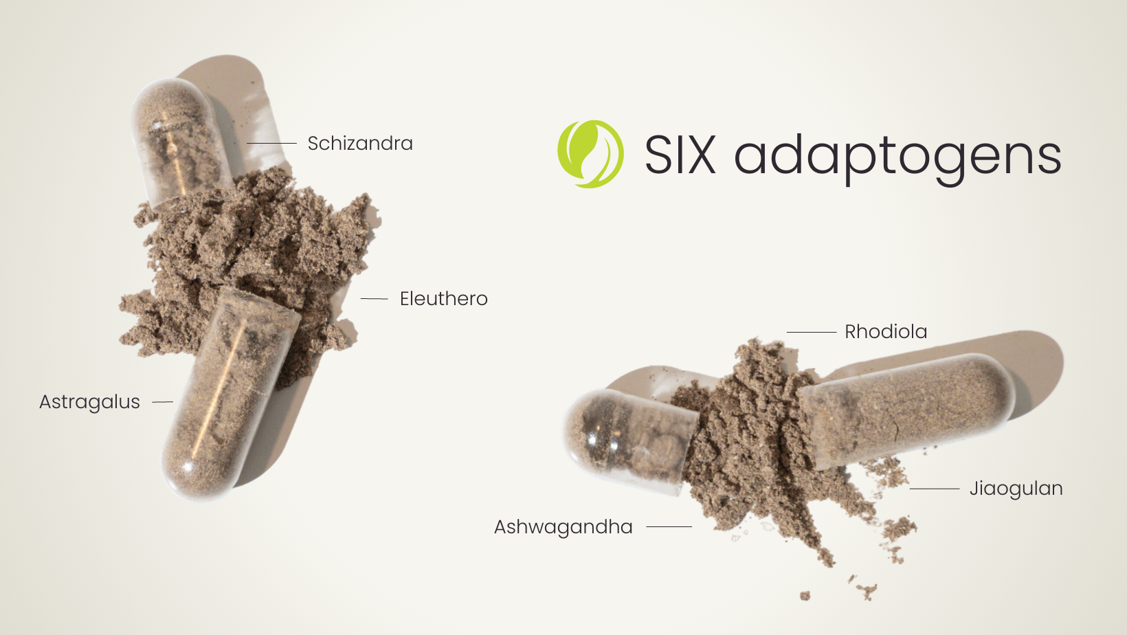 AdaptAble® image 4