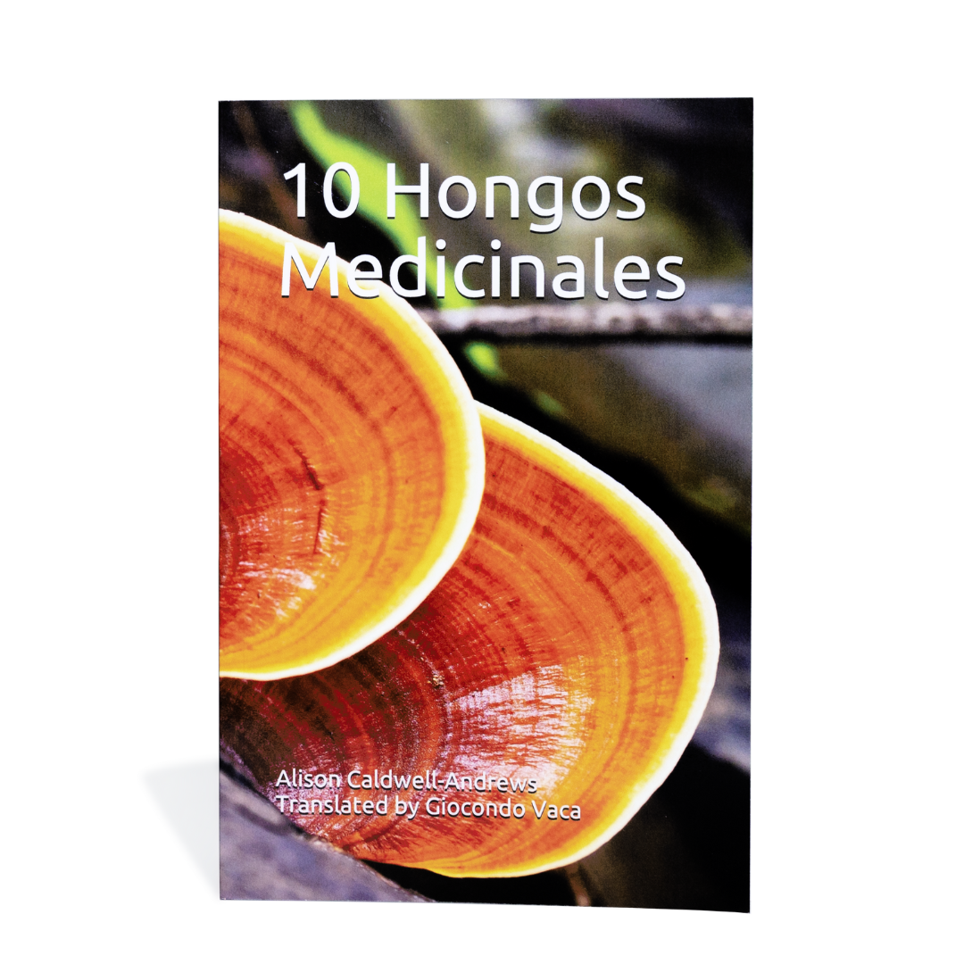 10 Hongos Medicinales image 1